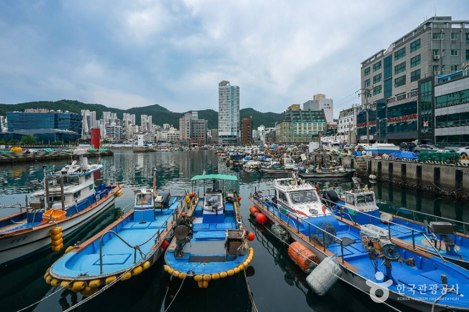 옥포항 여행 추천 - 메고지고 옥포항 여행 추천 - 메고지고