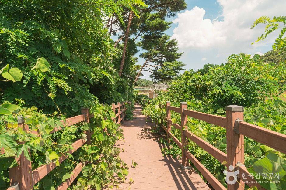 두현저수지 여행 추천 - 메고지고 두현저수지 여행 추천 - 메고지고