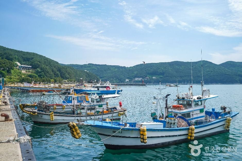 구조라항 여행 추천 - 메고지고 구조라항 여행 추천 - 메고지고