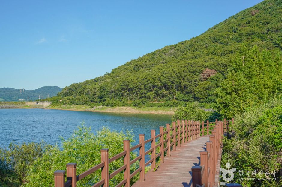 진례저수지 여행 추천 - 메고지고 진례저수지 여행 추천 - 메고지고