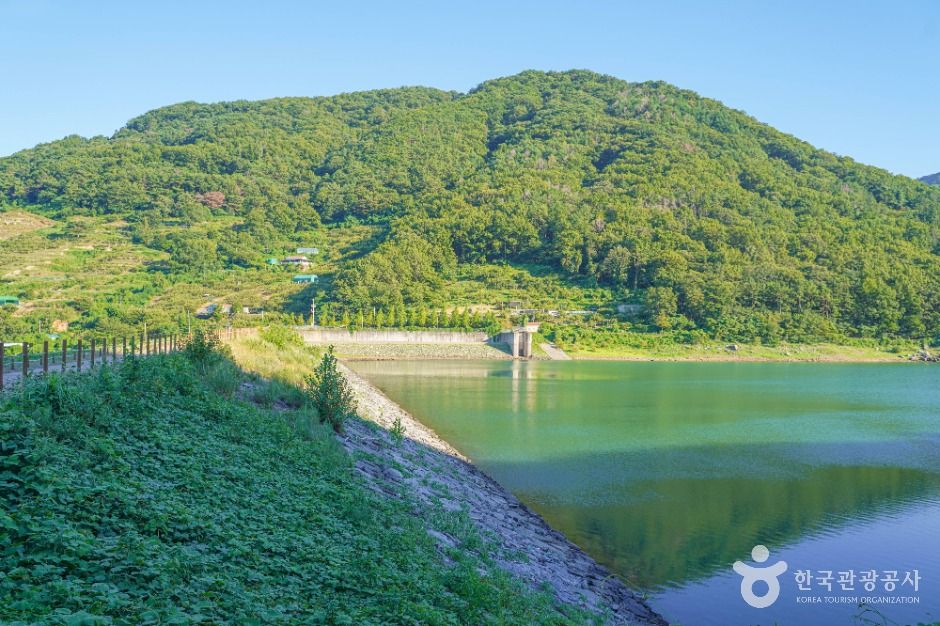 진례저수지 여행 추천 - 메고지고 진례저수지 여행 추천 - 메고지고