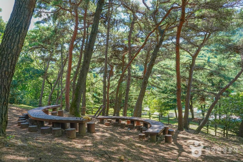 금병공원 여행 추천 - 메고지고