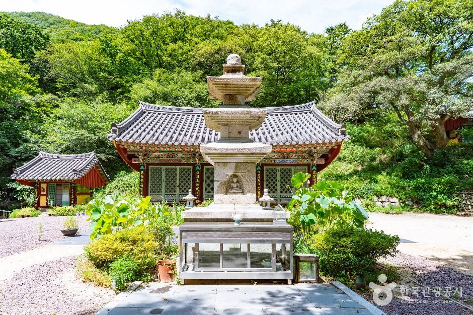 금곡사(경주) 여행 추천 - 메고지고 금곡사(경주) 여행 추천 - 메고지고