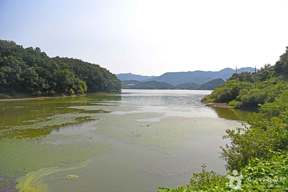 경천저수지 여행 추천 - 메고지고 경천저수지 여행 추천 - 메고지고