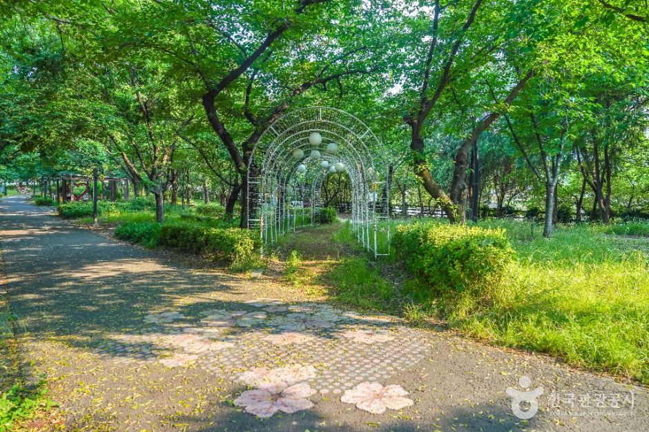 꽃보라동산 여행 추천 - 메고지고