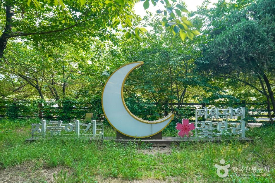 꽃보라동산 여행 추천 - 메고지고