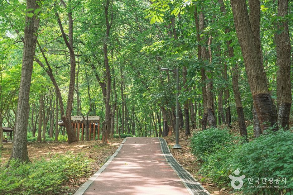방화근린공원 여행 추천 - 메고지고