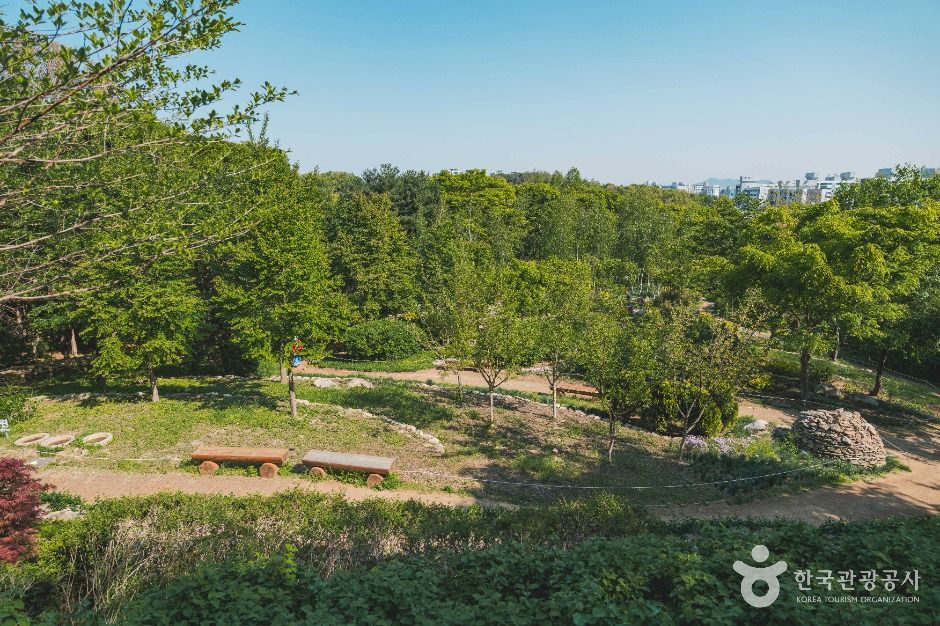 대모산숲속야생화원 여행 추천 - 메고지고 대모산숲속야생화원 여행 추천 - 메고지고