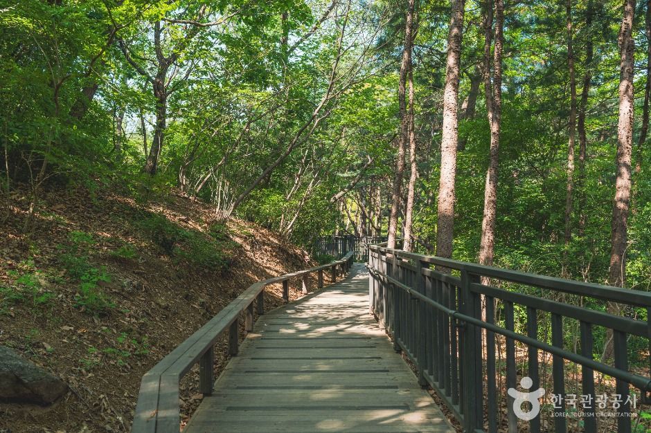 대모산숲속야생화원 여행 추천 - 메고지고 대모산숲속야생화원 여행 추천 - 메고지고