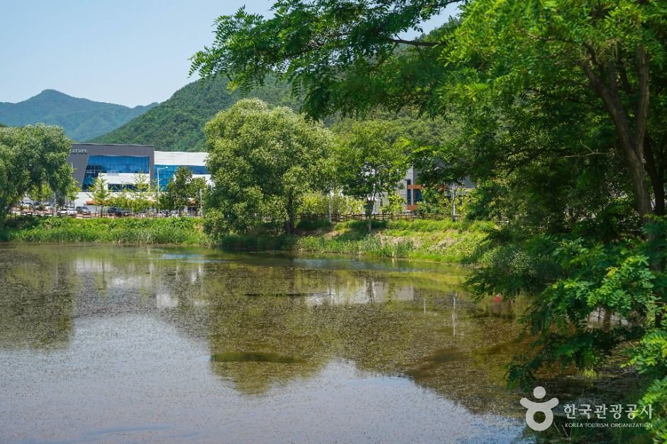 송호지공원 여행 추천 - 메고지고 송호지공원 여행 추천 - 메고지고