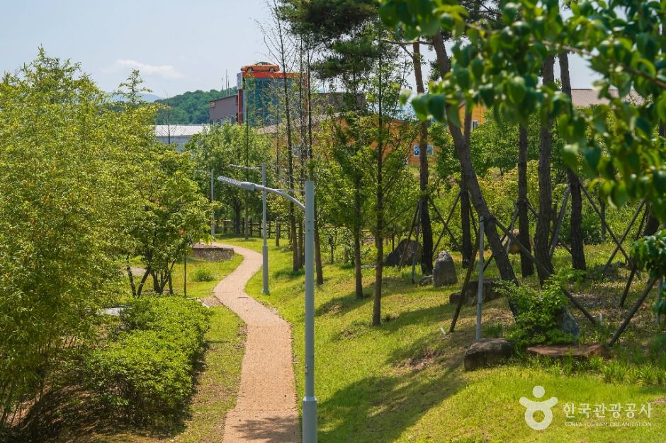 송호지공원 여행 추천 - 메고지고 송호지공원 여행 추천 - 메고지고