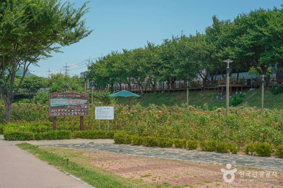 장미공원(밀양) 여행 추천 - 메고지고