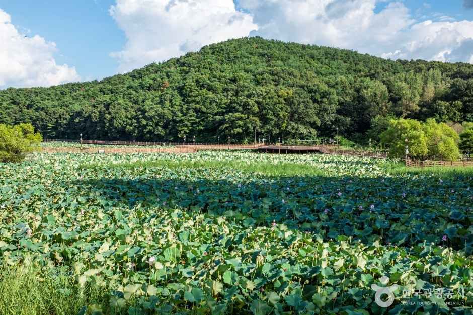 문성지 여행 추천 - 메고지고