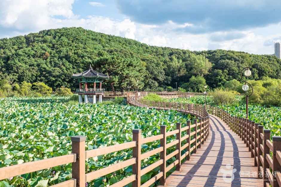 문성지 여행 추천 - 메고지고