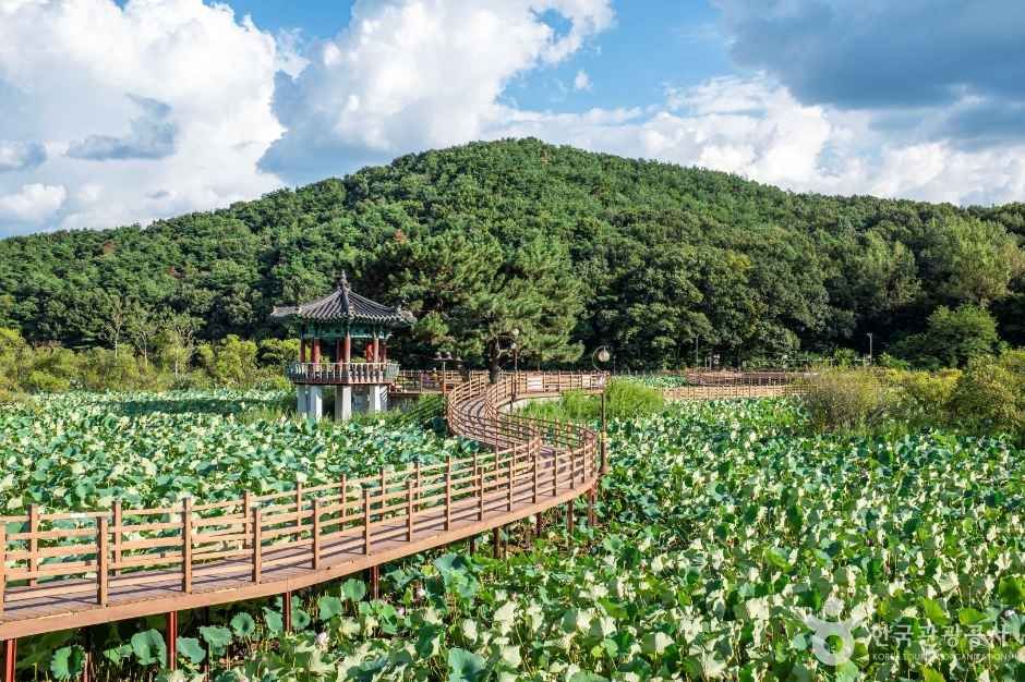 문성지 여행 추천 - 메고지고
