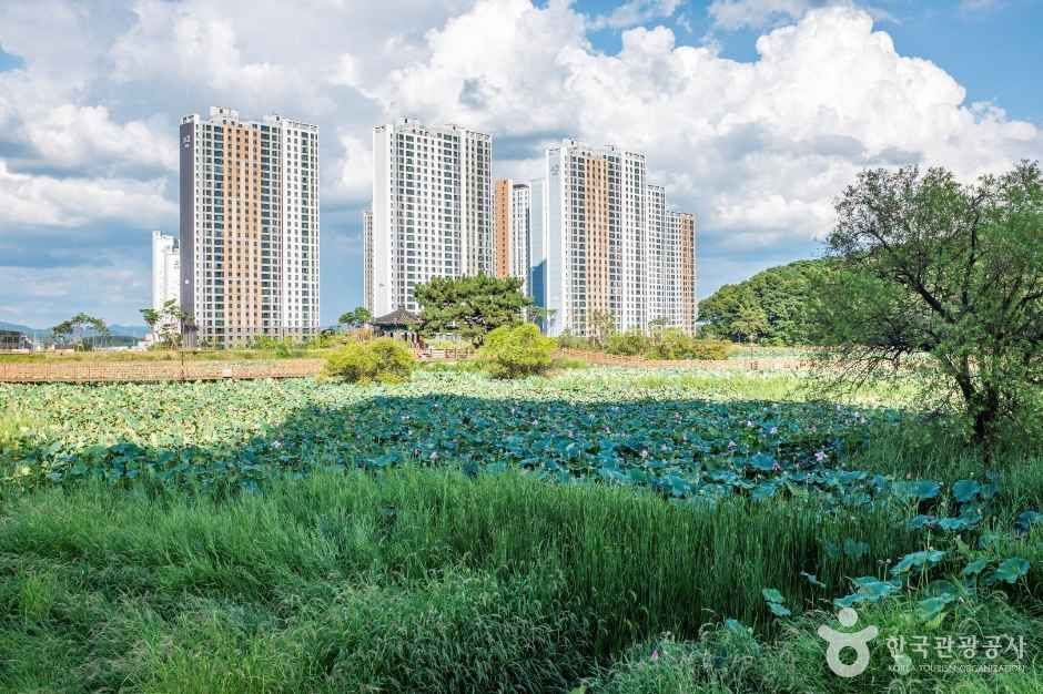 문성지 여행 추천 - 메고지고