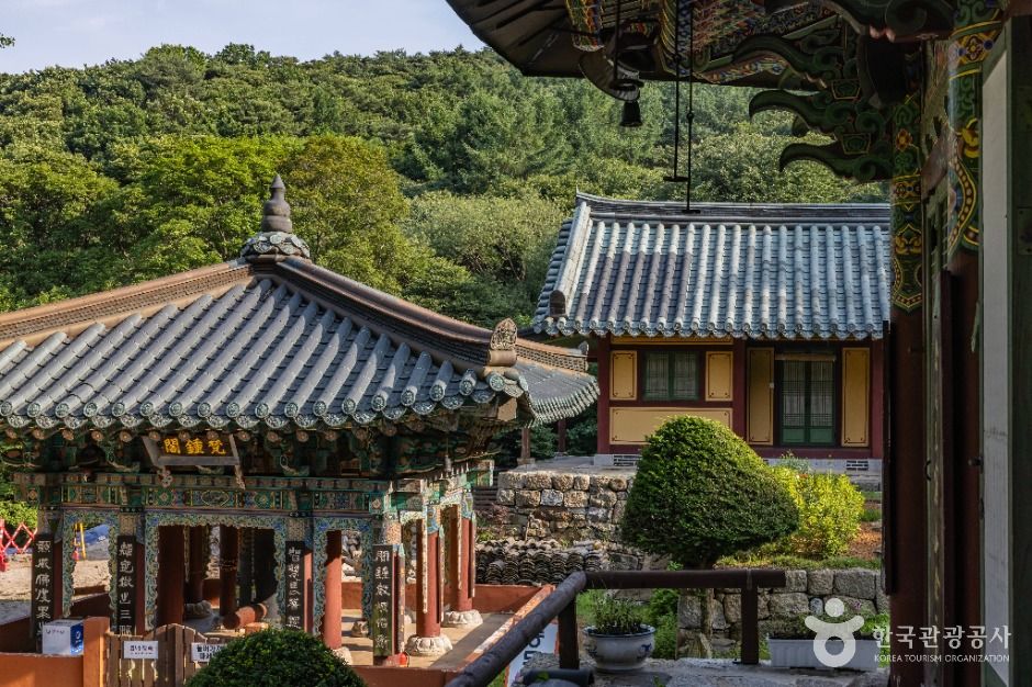 백련사(강화) 여행 추천 - 메고지고 백련사(강화) 여행 추천 - 메고지고