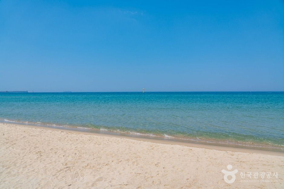삼척해변 여행 추천 - 메고지고 삼척해변 여행 추천 - 메고지고