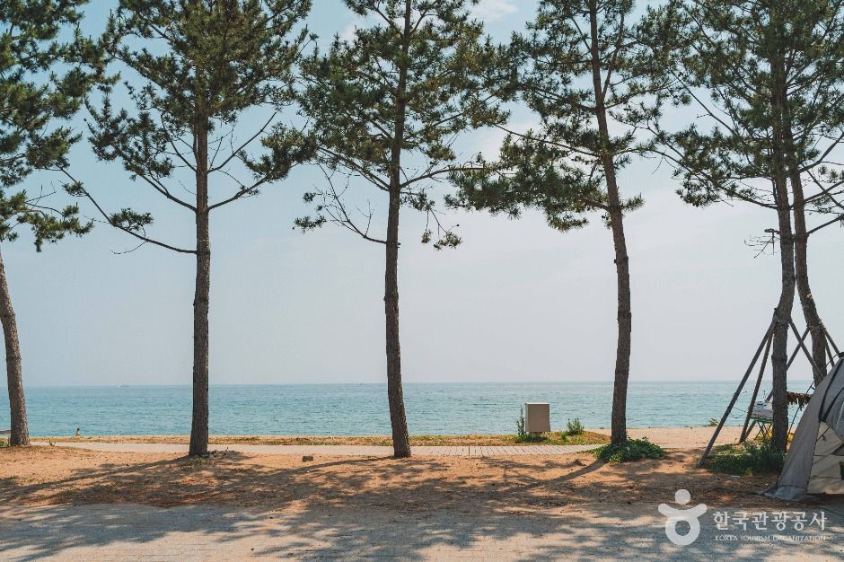 장사해수욕장 여행 추천 - 메고지고 장사해수욕장 여행 추천 - 메고지고
