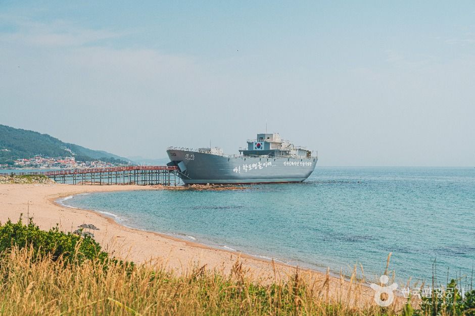 장사해수욕장 여행 추천 - 메고지고 장사해수욕장 여행 추천 - 메고지고