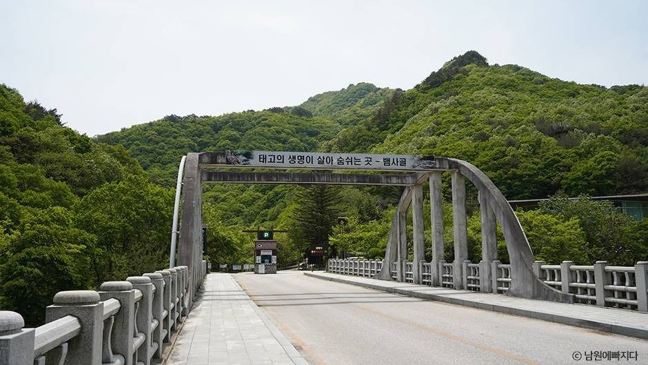 뱀사골계곡 여행 추천 - 메고지고 뱀사골계곡 여행 추천 - 메고지고