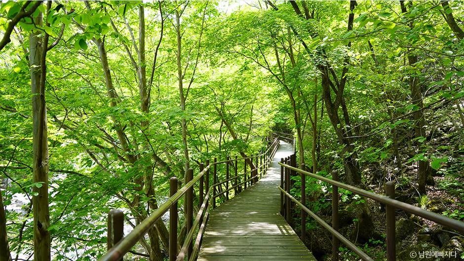 뱀사골계곡 여행 추천 - 메고지고 뱀사골계곡 여행 추천 - 메고지고