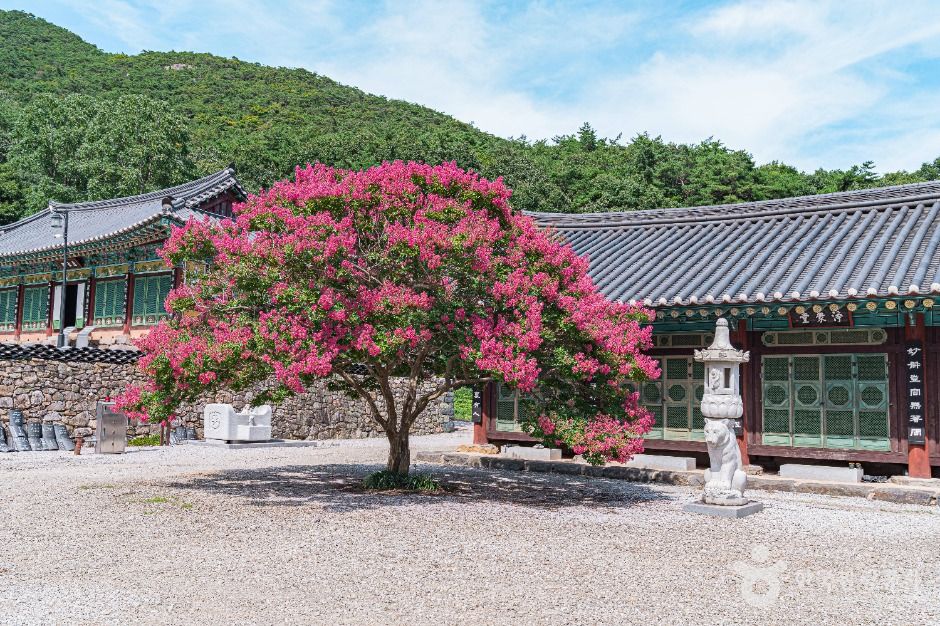 개암사 여행 추천 - 메고지고