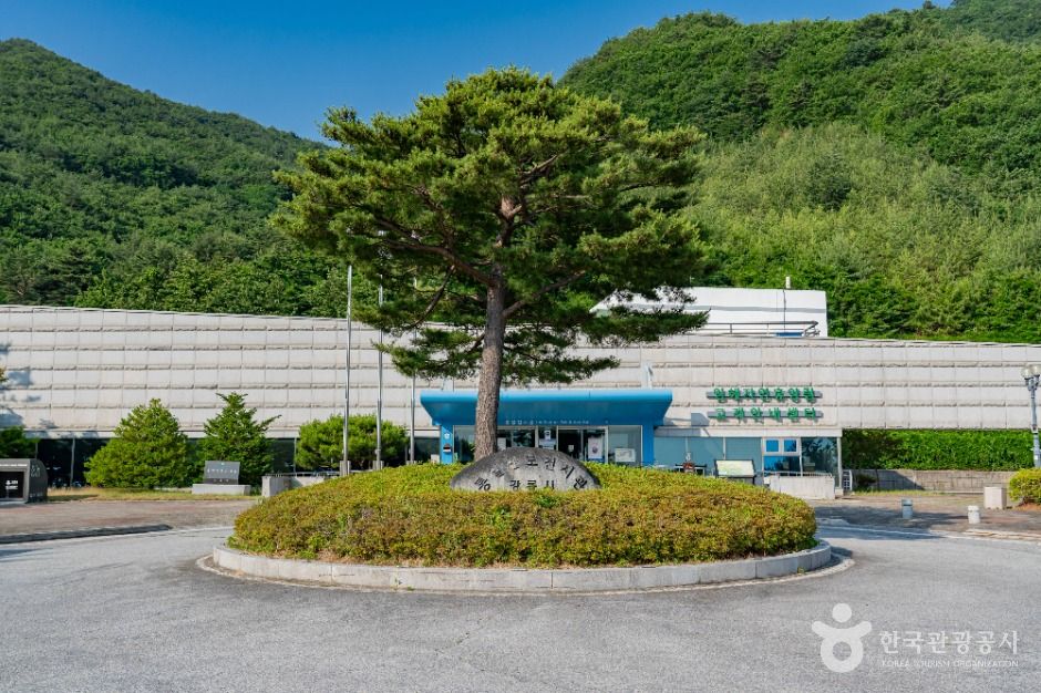강릉 통일공원 여행 추천 - 메고지고