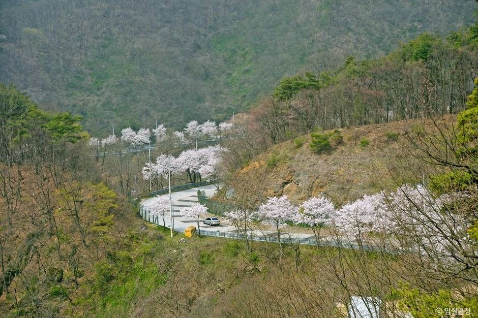 국사봉전망대 여행 추천 - 메고지고