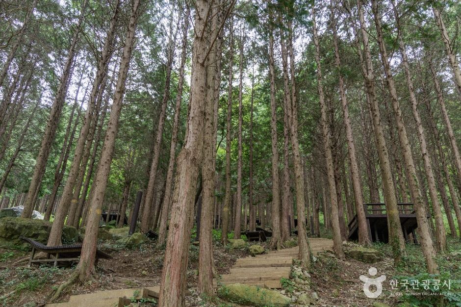 용두공원 여행 추천 - 메고지고 용두공원 여행 추천 - 메고지고
