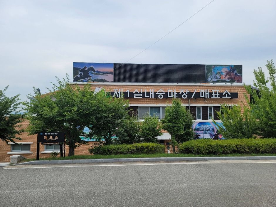 상주국제승마장 여행 추천 - 메고지고 상주국제승마장 여행 추천 - 메고지고