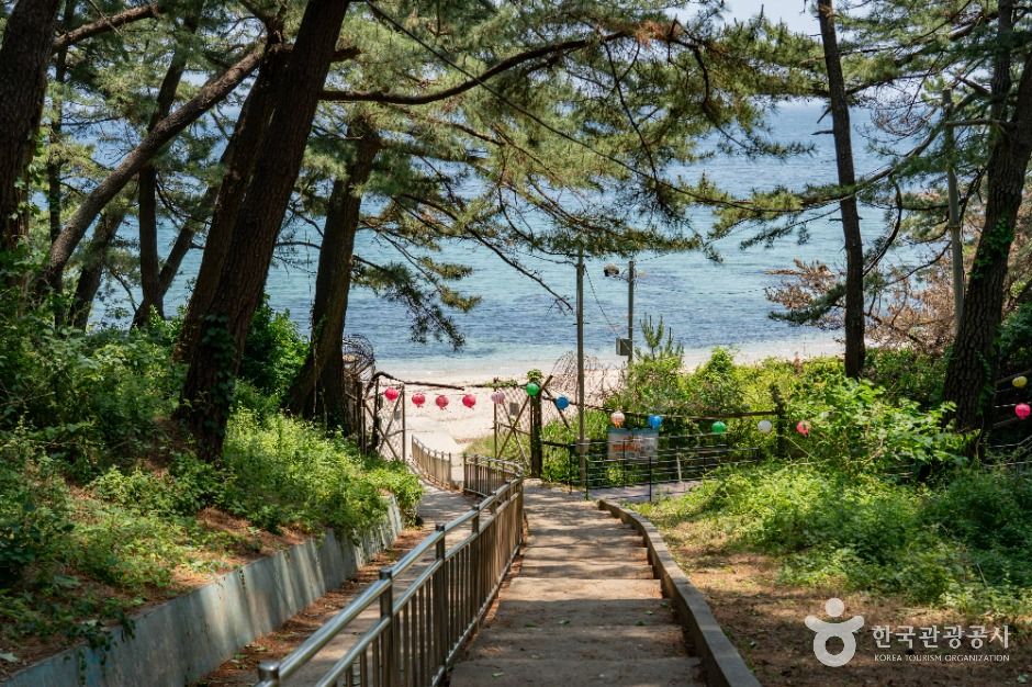 감추해변 여행 추천 - 메고지고 감추해변 여행 추천 - 메고지고