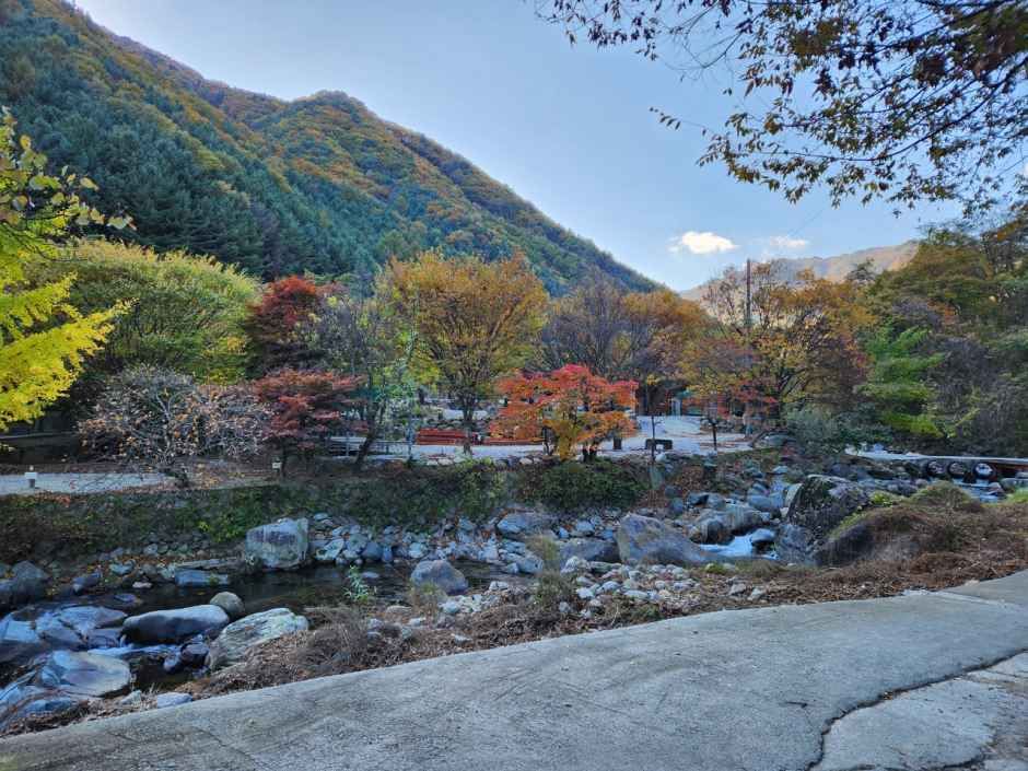 비로오토파크 여행 추천 - 메고지고