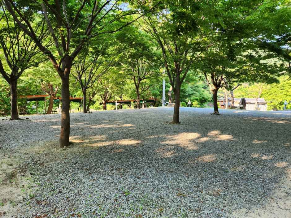 비로오토파크 여행 추천 - 메고지고