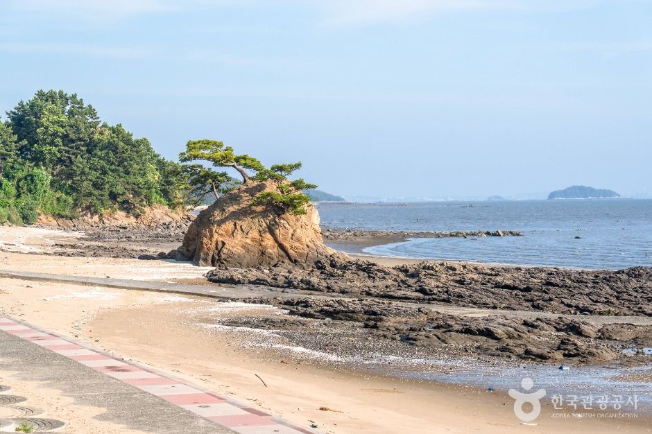 비인해변 여행 추천 - 메고지고 비인해변 여행 추천 - 메고지고