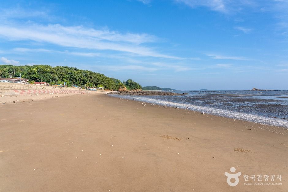비인해변 여행 추천 - 메고지고 비인해변 여행 추천 - 메고지고
