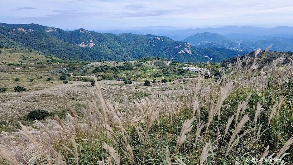 황매산 억새군락지 여행 추천 - 메고지고 황매산 억새군락지 여행 추천 - 메고지고