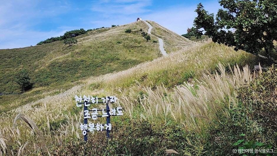 황매산 억새군락지 여행 추천 - 메고지고 황매산 억새군락지 여행 추천 - 메고지고