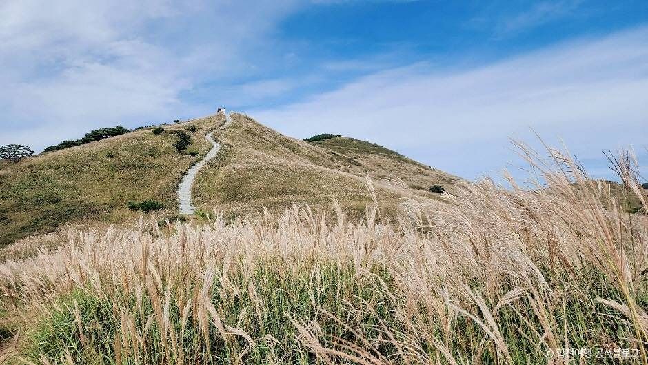 황매산 억새군락지 여행 추천 - 메고지고 황매산 억새군락지 여행 추천 - 메고지고