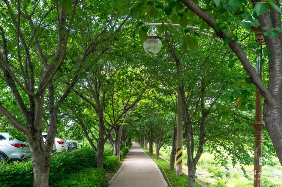 독봉산 웰빙공원 여행 추천 - 메고지고 독봉산 웰빙공원 여행 추천 - 메고지고