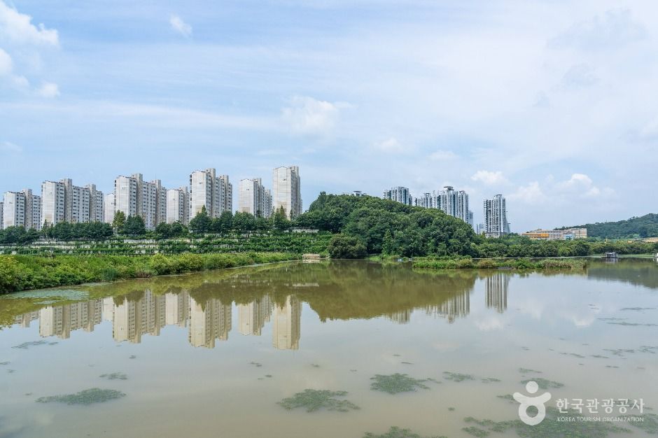 월랑저수지 여행 추천 - 메고지고 월랑저수지 여행 추천 - 메고지고