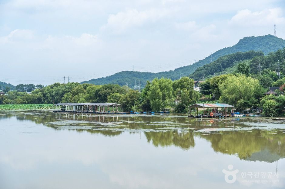 월랑저수지 여행 추천 - 메고지고 월랑저수지 여행 추천 - 메고지고