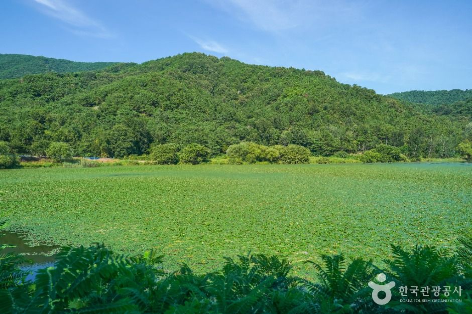 유등지 여행 추천 - 메고지고
