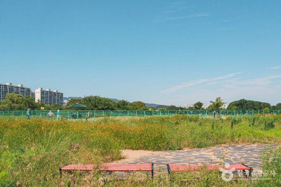 팔현생태공원 여행 추천 - 메고지고 팔현생태공원 여행 추천 - 메고지고