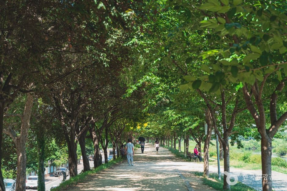 팔현생태공원 여행 추천 - 메고지고 팔현생태공원 여행 추천 - 메고지고