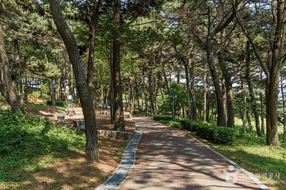 초전공원 여행 추천 - 메고지고 초전공원 여행 추천 - 메고지고