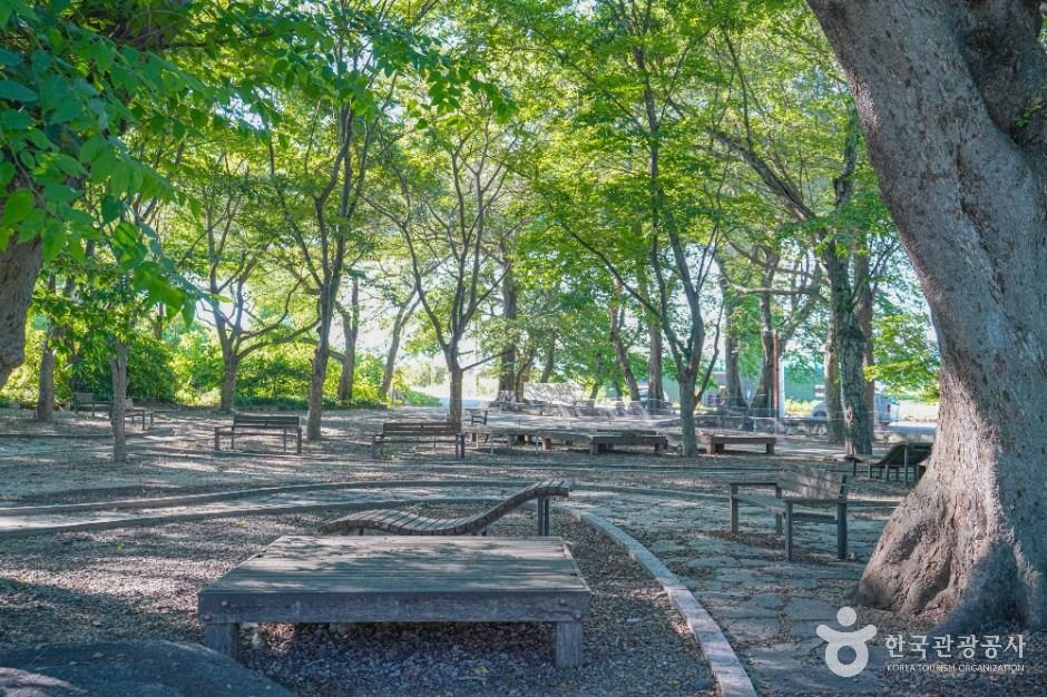용전숲 여행 추천 - 메고지고 용전숲 여행 추천 - 메고지고