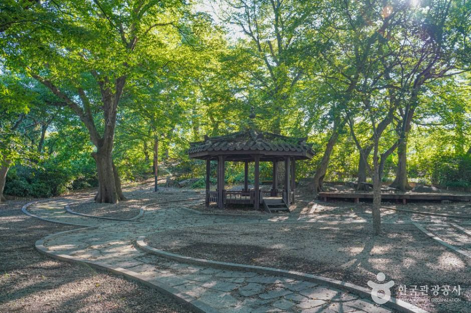 용전숲 여행 추천 - 메고지고 용전숲 여행 추천 - 메고지고