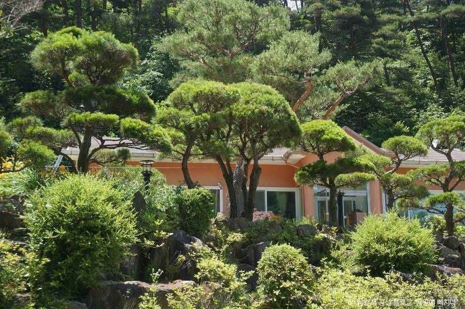 흥부골자연휴양림 여행 추천 - 메고지고
