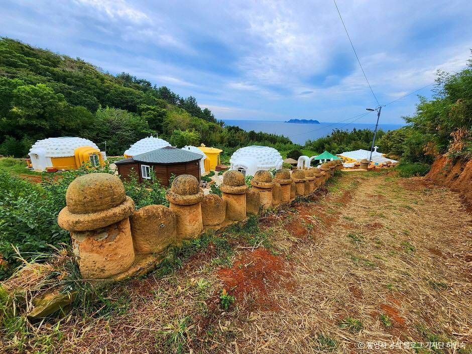새에덴동산 여행 추천 - 메고지고 새에덴동산 여행 추천 - 메고지고